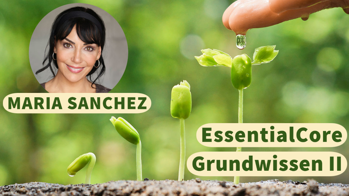 EssentialCore - Online-Kurs „Grundwissen II“