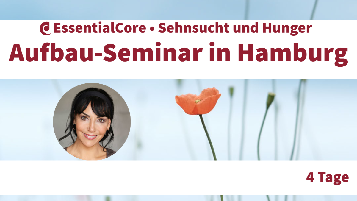 Aufbau-Seminar in Hamburg