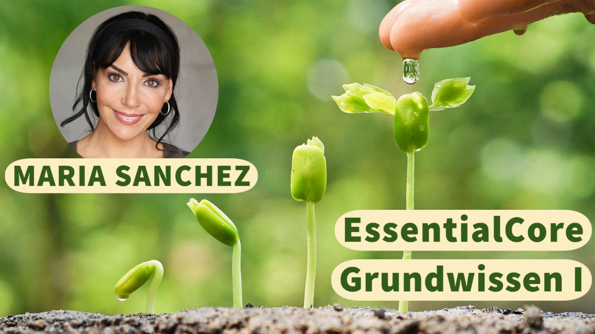 EssentialCore - Online-Kurs „Grundwissen I“