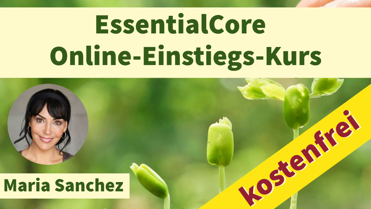 Kostenfreier EssentialCore - Online-Einstiegs-Kurs