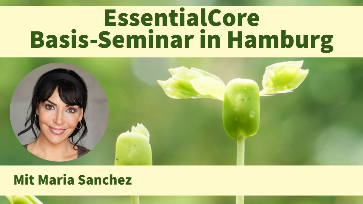 EssentialCore - Basis-Seminar | 24.-27.10.2024